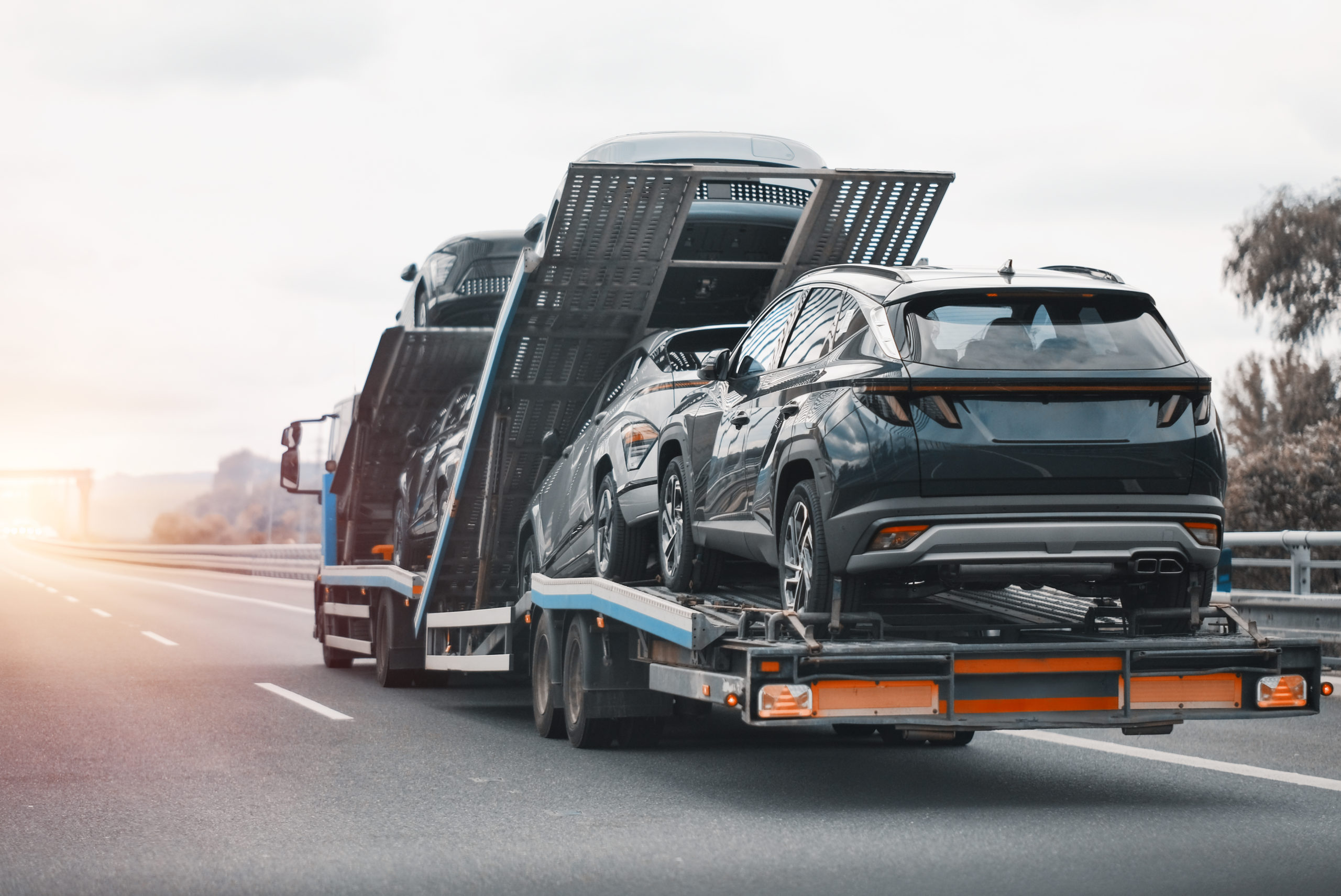 benefits of car shipping for snowbirds